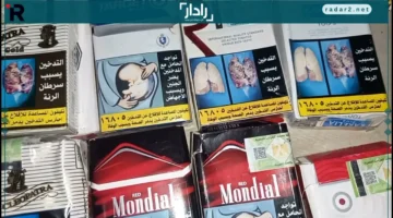 أسعار السجائر في مصر السبت 25 أكتوبر 2025 لجميع الأنواع المحلية والمستوردة